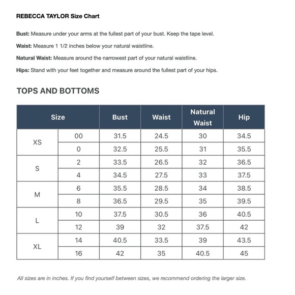 Rebecca Taylor NWT Techy Double Layer Navy Mesh Dress Sz 4 - Picture 2 of 9